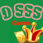 D555 Game