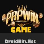 prpwin-game-image