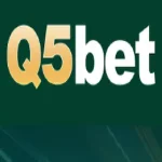 q5bet-game-image