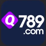 Q789 Game